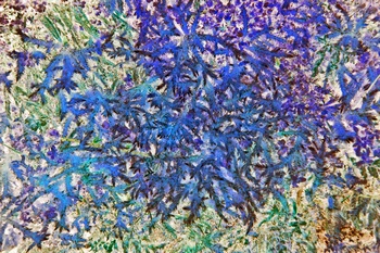 N 029B